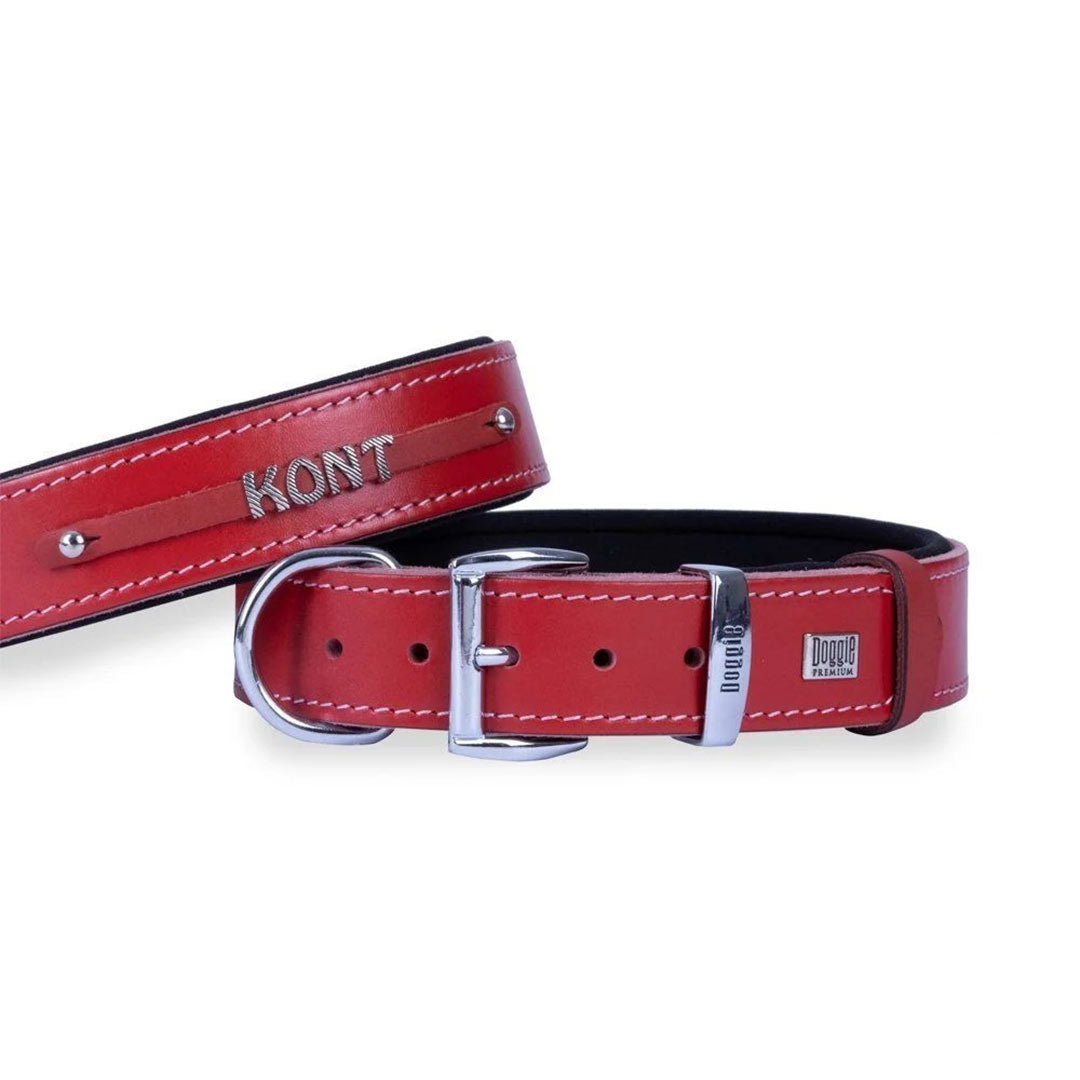 Doggie Konfor Deri İsimlikli Kırmızı Köpek Boyun Tasması 4×52-60cm