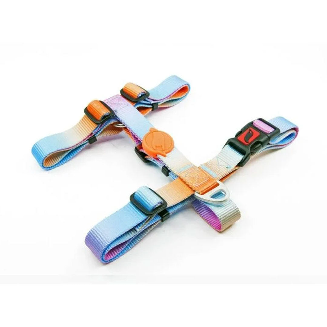 کمربند سینه ی سگ با طرح Tailpetz کوچک