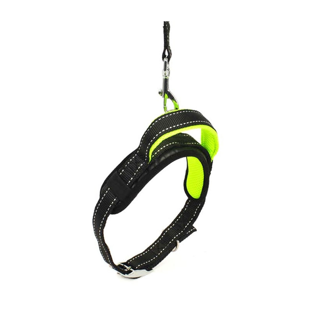 Flip Gezdirme Kayışı ve Boyun Tasması Takımı 2cm/120cm