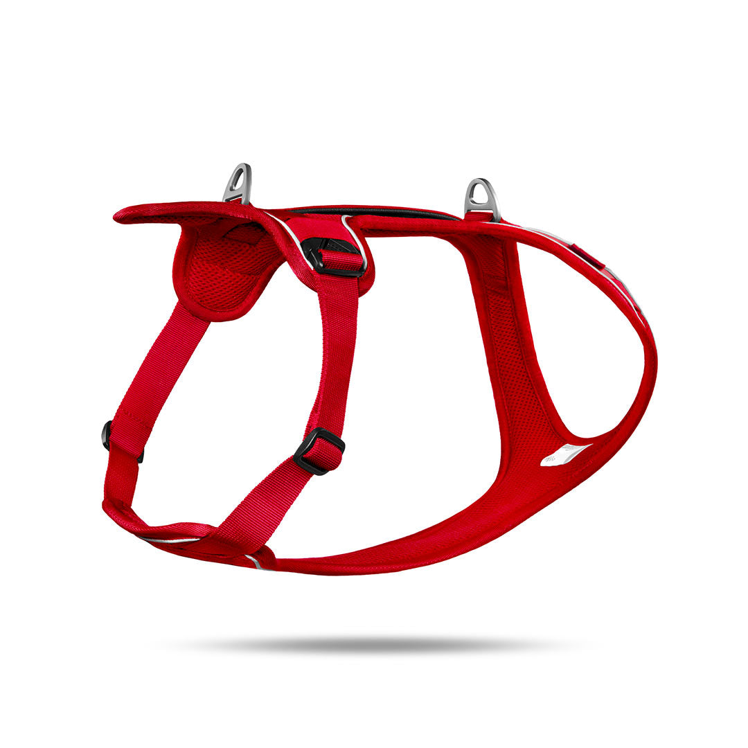 کرلی بلکا راحتی سگ خرگوش کوچک قرمز