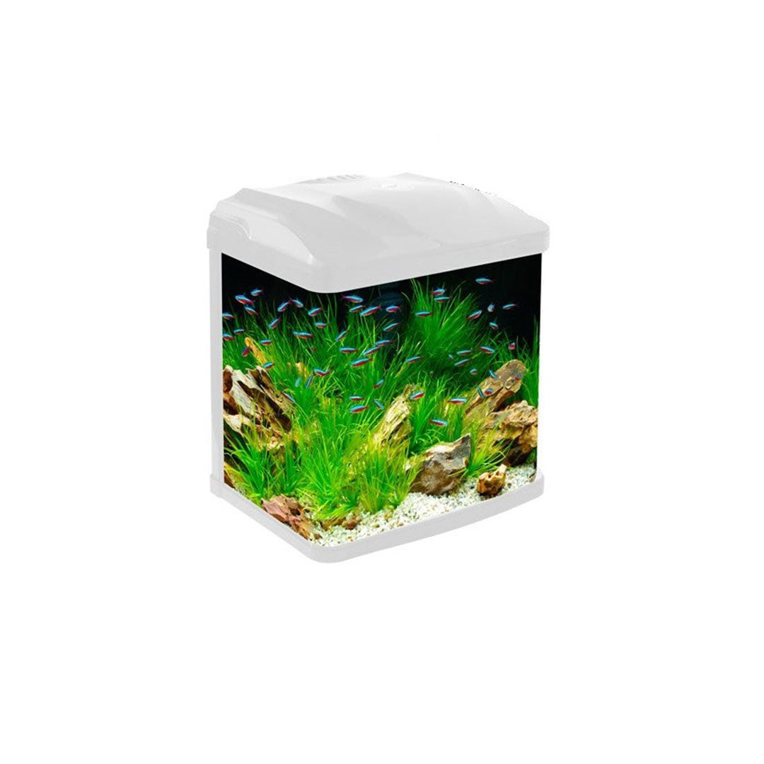 EuroStar Beyaz Led Işıklı Akdeniz Akvaryum 7W 60x30x56 Cm