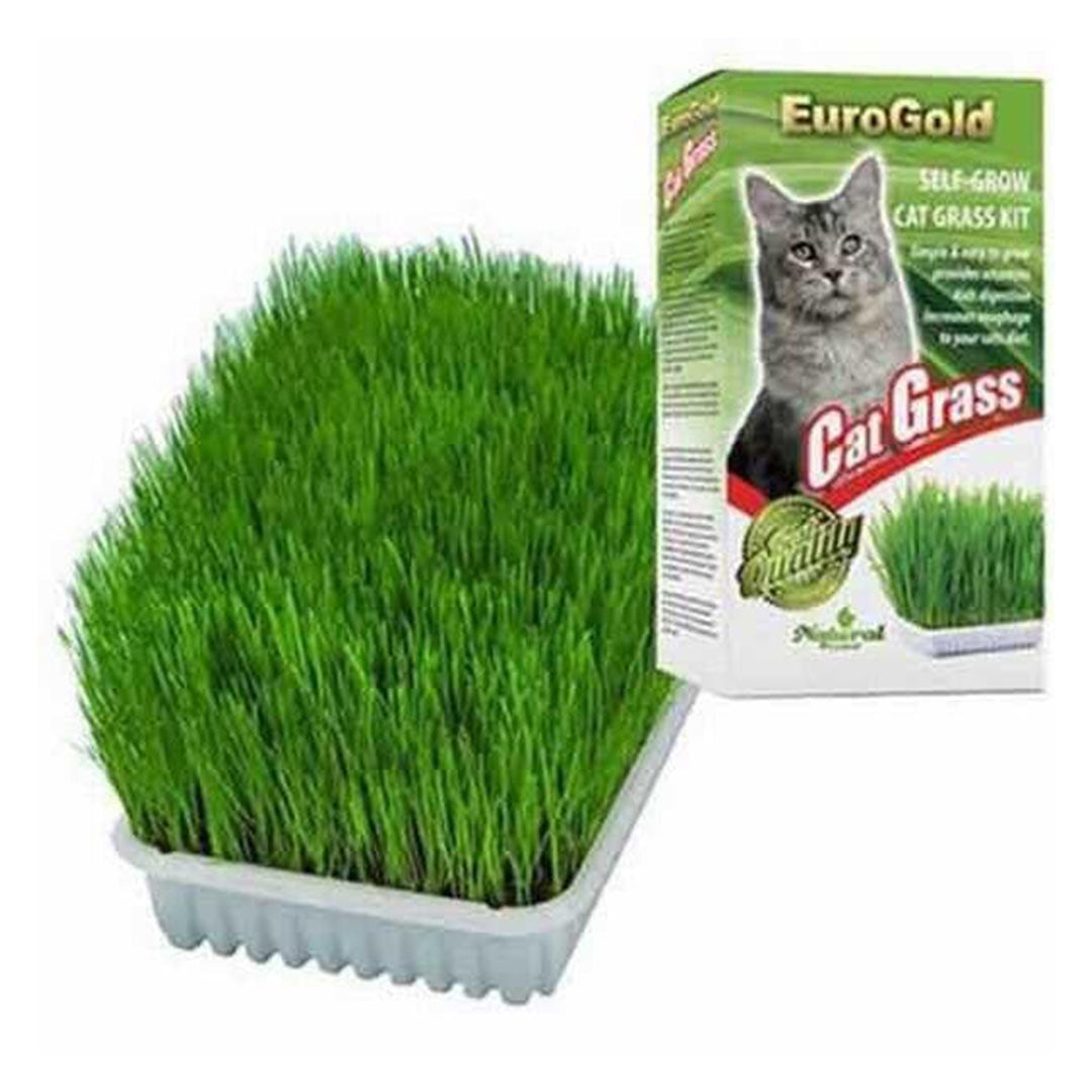 EuroGold Tüy Yumağını Engelleyen Kedi Çimi
