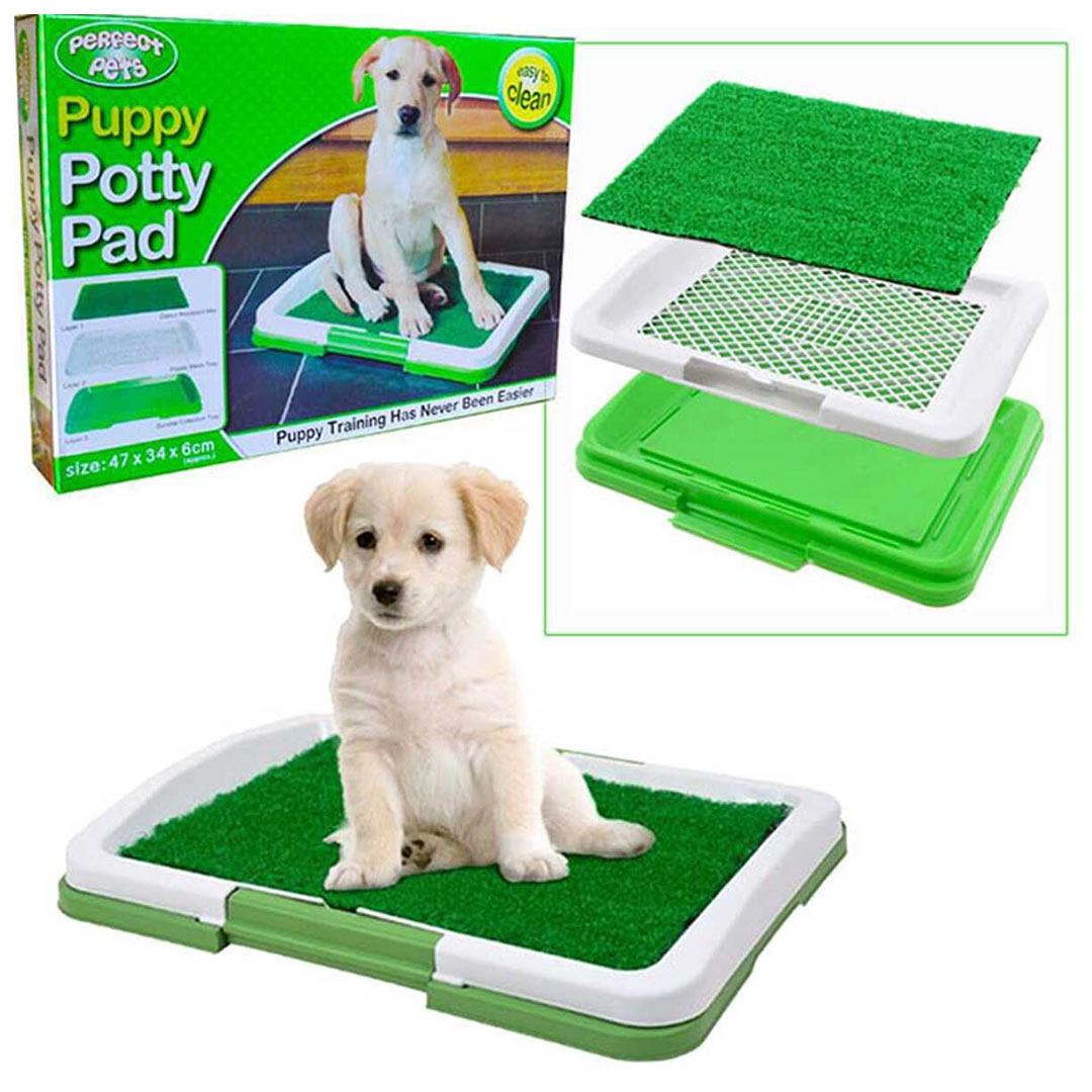 Perfect Köpek Tuvalet Eğitim Yapay Çim 47x34 Cm