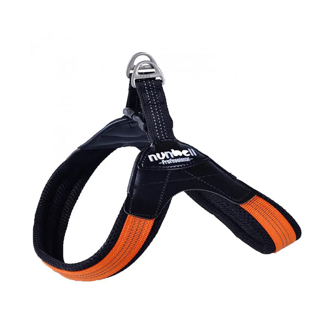 Köpekler için Tüm Aksesuarlar | Evinemama