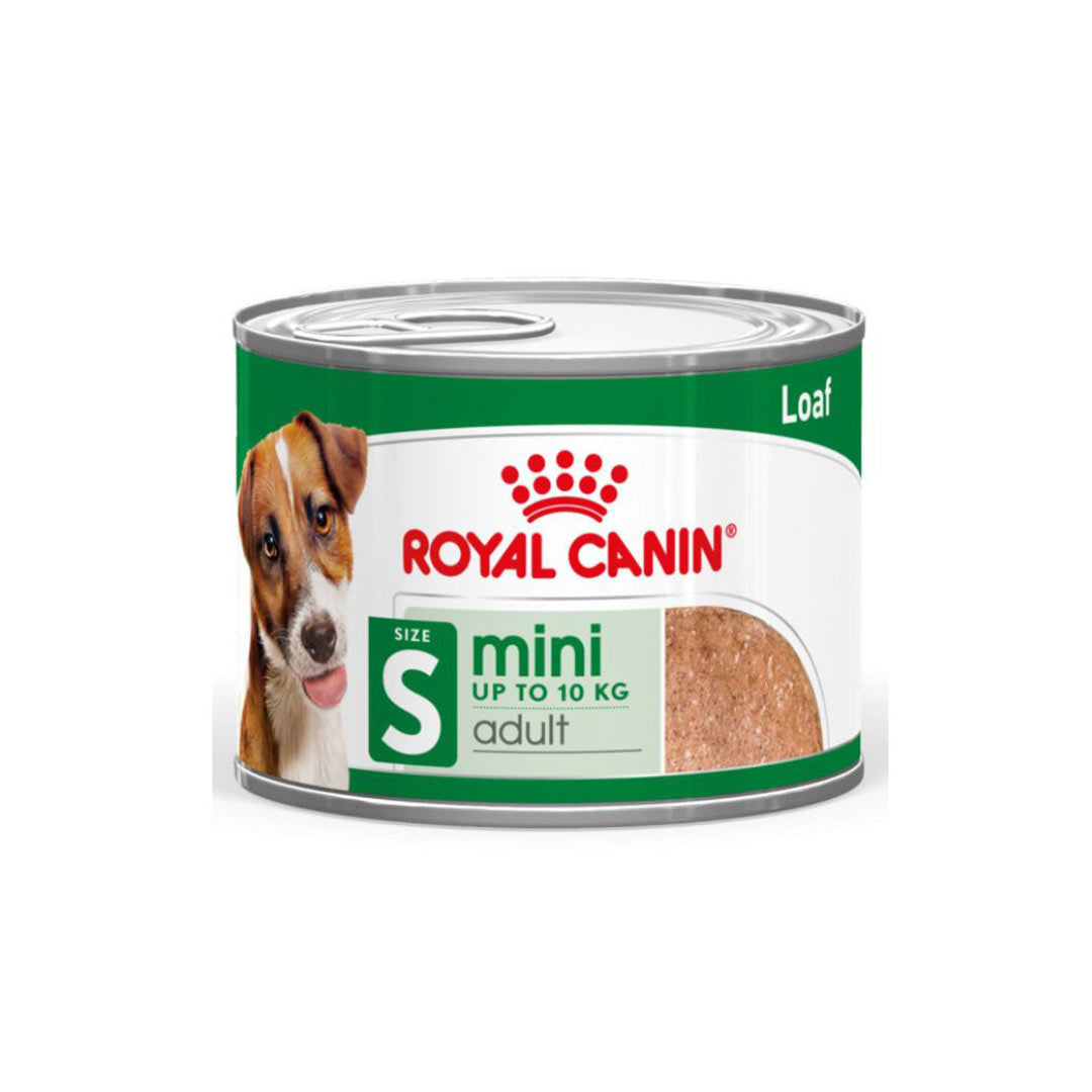Royal Canin Mini Loaf Mousse Yetişkin Küçük Irk Köpek Ezme Konservesi 195gr