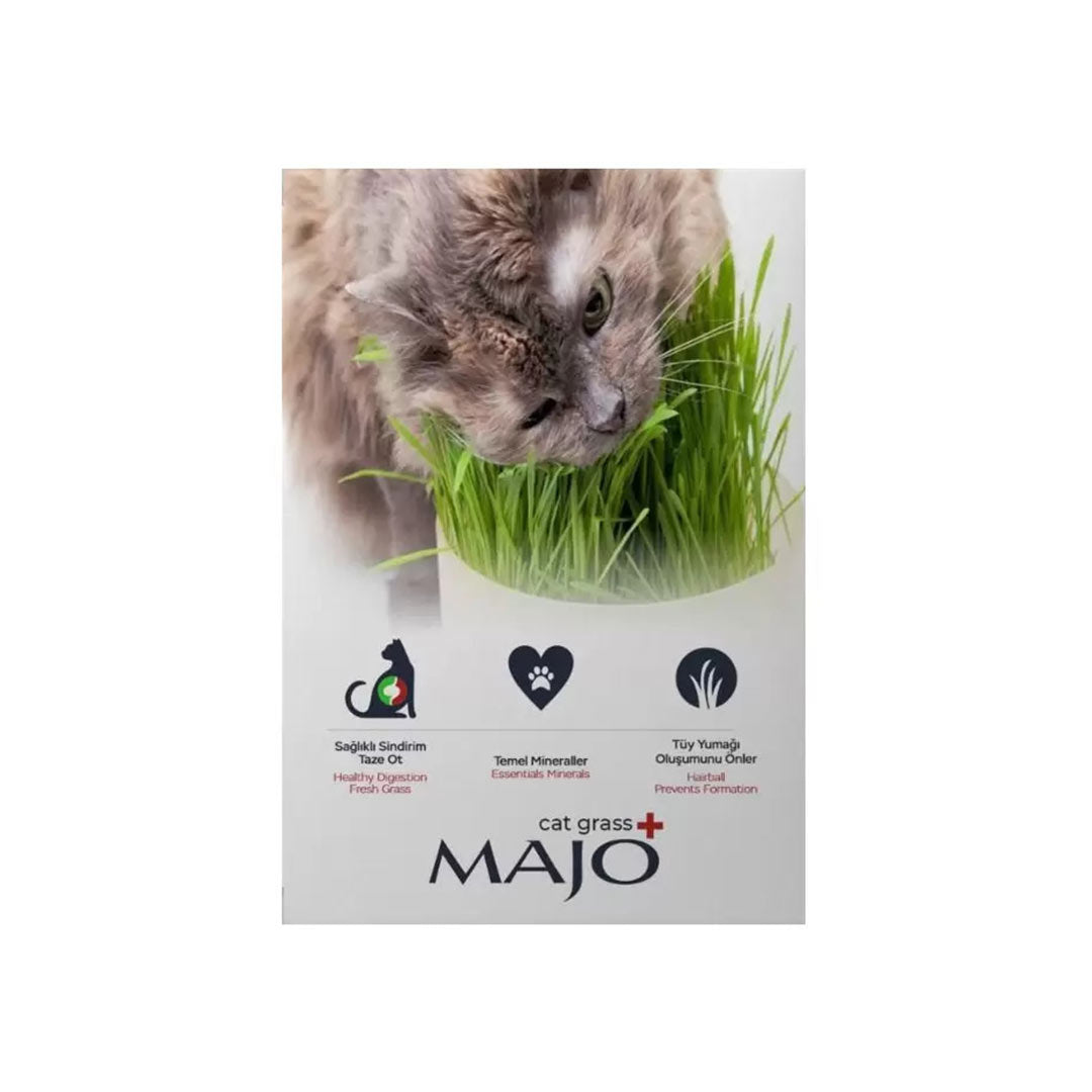 Majo Naturel Kedi Çimi 3 Kullanımlık Yedek Tohumlu