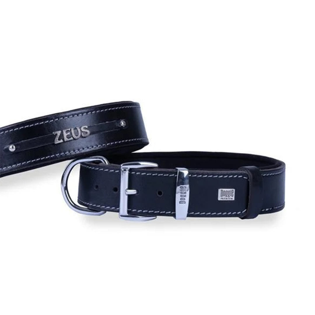 Doggie Comfort Leather Name Tag Black Dog Collar Small 4x47-55 Cm