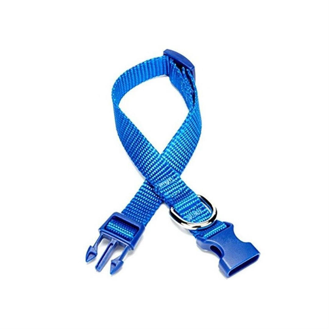 Doggie Ayarlanabilir Özellikli Dokumadan El Yapımı Royal Mavi Köpek Boyun Tasması 2,5x40-50cm