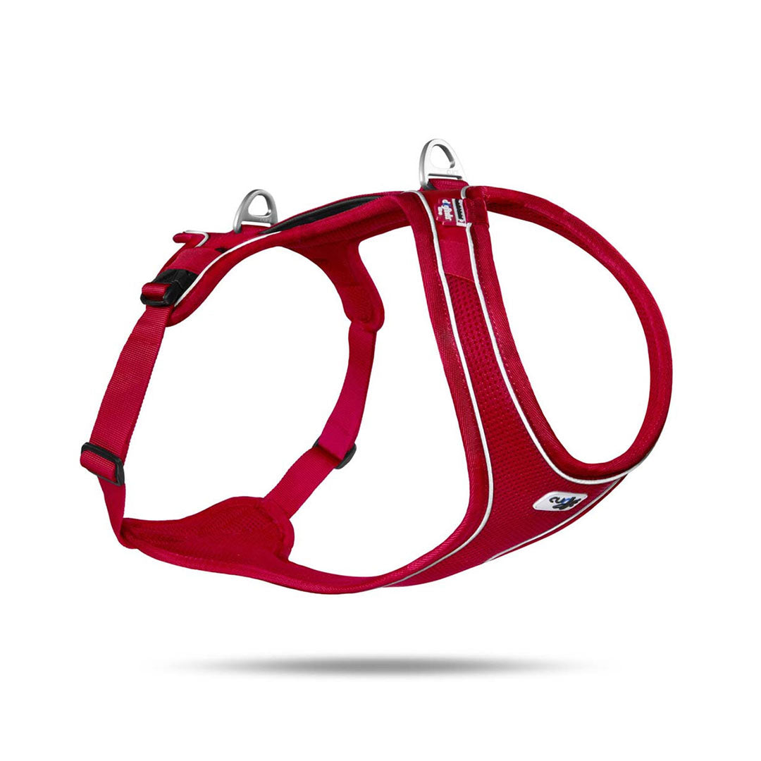 کورلی بلکا راحتی قرمز سگ سینه زین متوسط