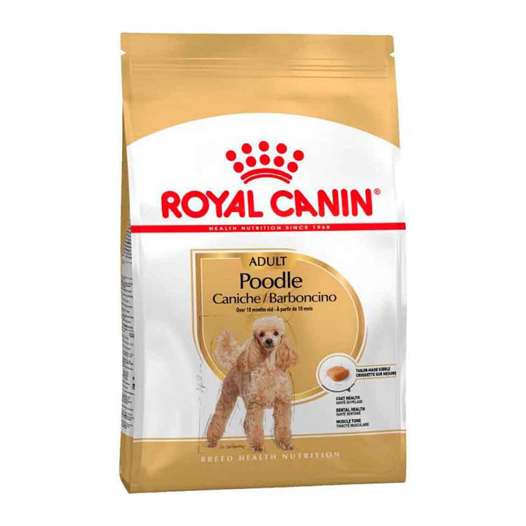 Royal Canin Poodle Adult Yetişkin Köpek Maması 3 Kg