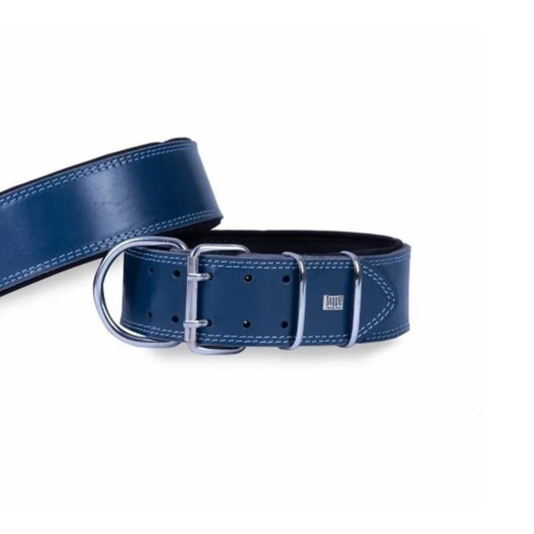Doggie Premium Çift Kat Deri Royal Mavi Köpek Boyun Tasması 6x60-70 Cm
