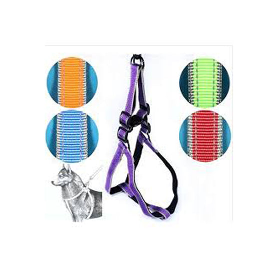 Ans Mor Köpek Göğüs Tasma Seti 25 Kg