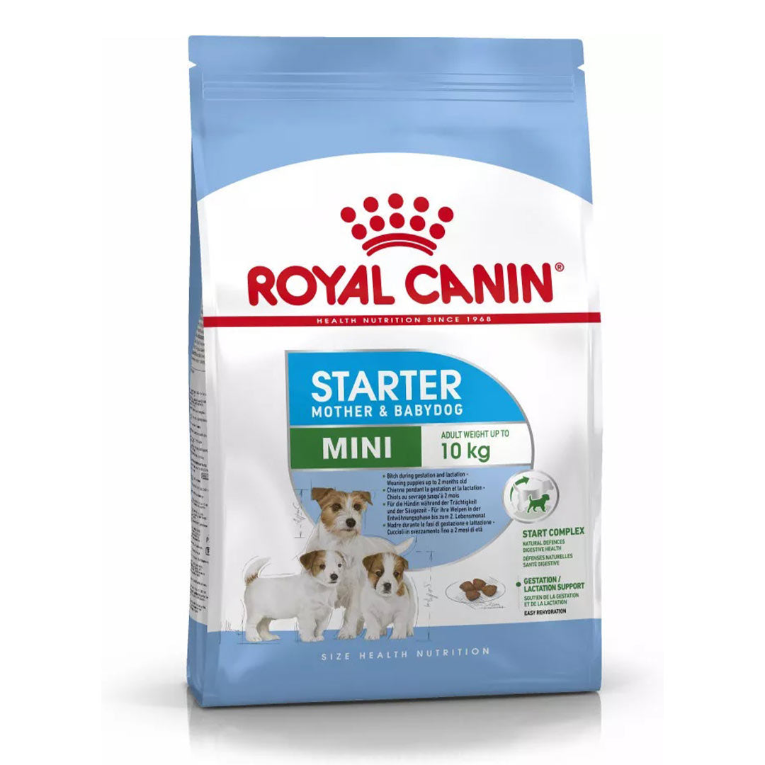 Royal Canin Mini Starter Küçük Irk Yavru Köpek Maması 3Kg