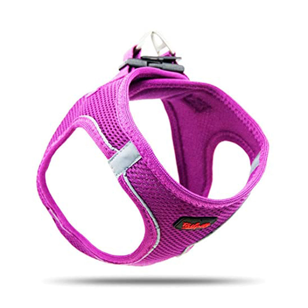 Tailpetz Air-Mesh Mor Köpek Göğüs Tasması S