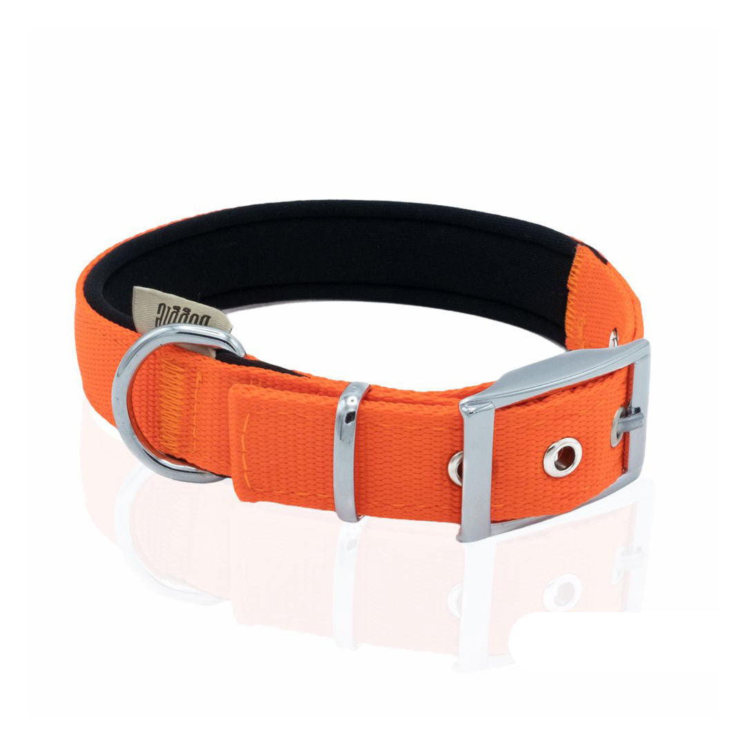 Doggie Elit Dokuma Turuncu Köpek Boyun Tasması Medium 2.5x37-45 Cm