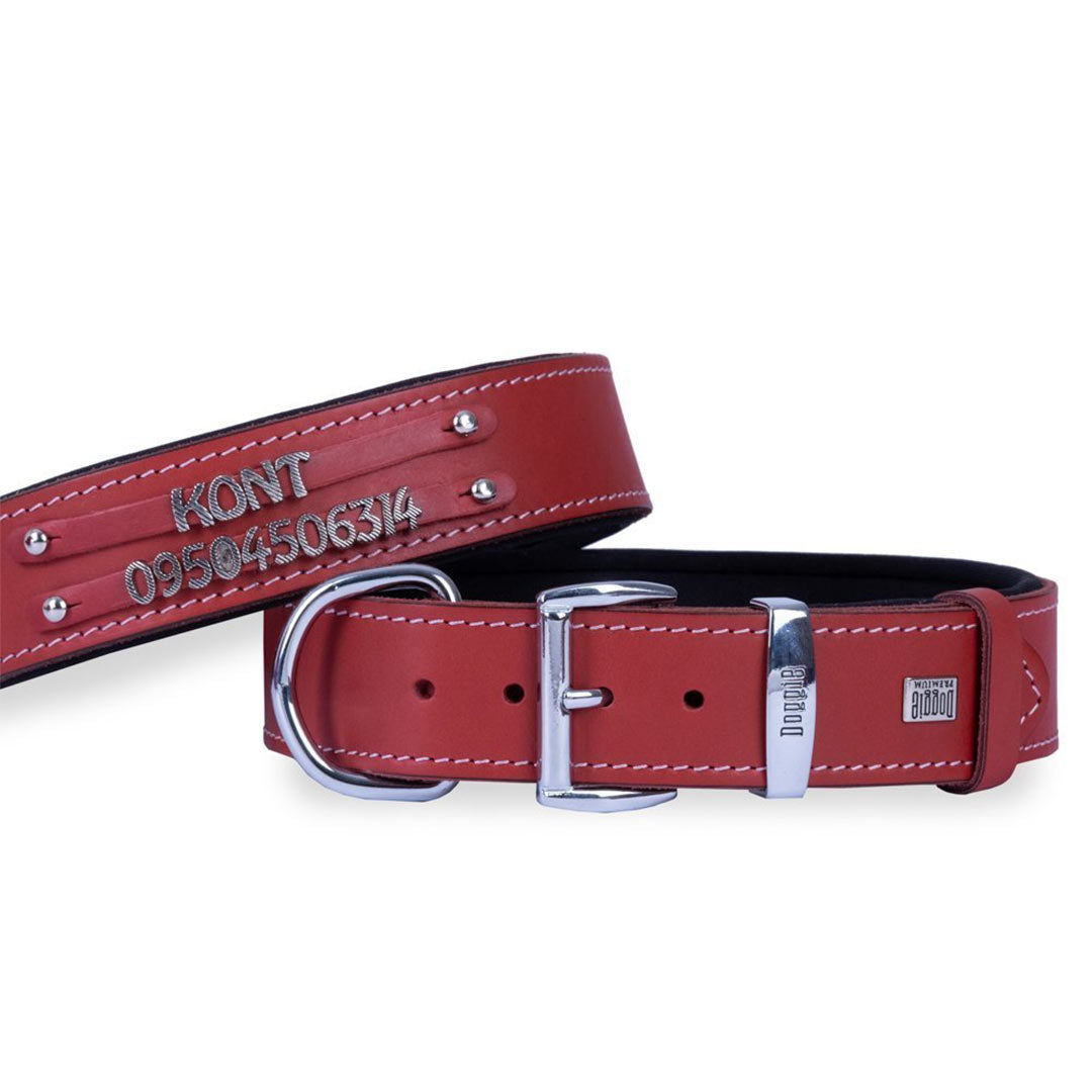 Doggie Comfort Leather Double Name Red Dog Collar Small 4×47-55 Cm