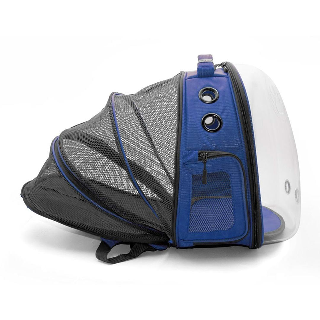 Doggie & Cattie Strapped Blue Pet Carrier Bag for Cats and Small Breed Dogs 25x60x40 cm