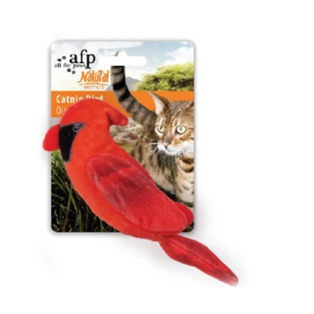 AFP Catnip Bird Cat Toy 15x5x5 cm