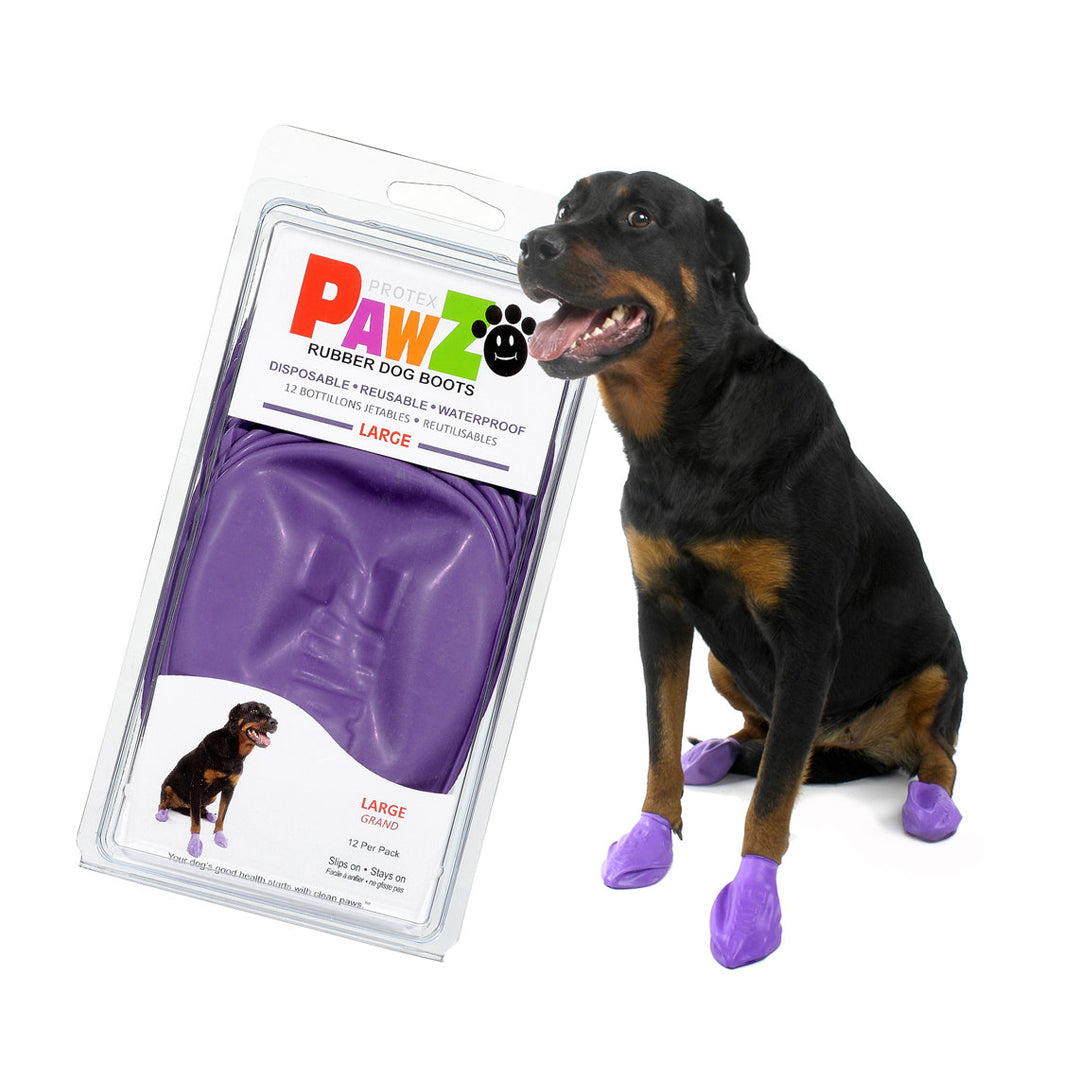 PAWZ Black Dog Shoes L, Pack of 12