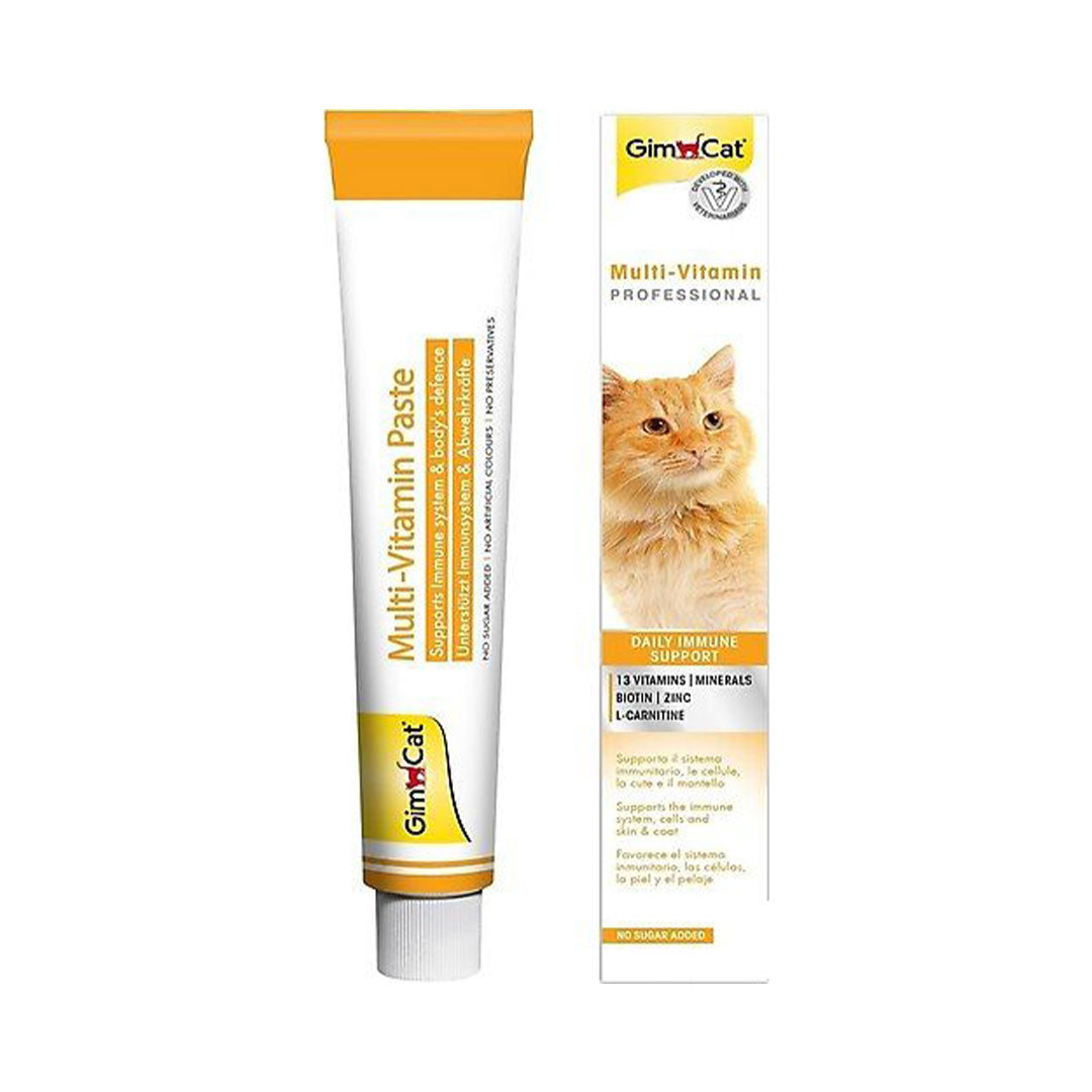 Gimcat Multivitamin Kedi Macunu 100 gr