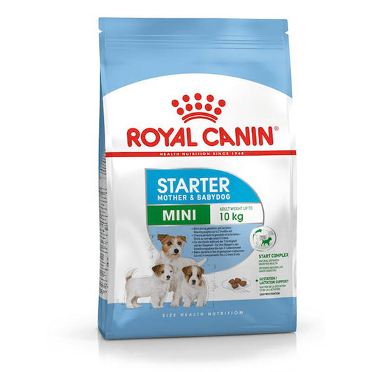 Royal Canin Mini Starter Small Breed Mother and Puppy Dog Food 4 Kg