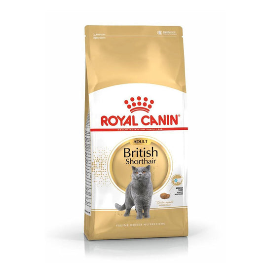 Royal Canin British Shorthair Yetişkin Kuru Kedi Maması 4kg