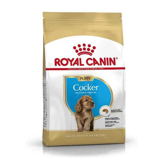 Royal Canin Cocker Yavru Köpek Maması 3 KG