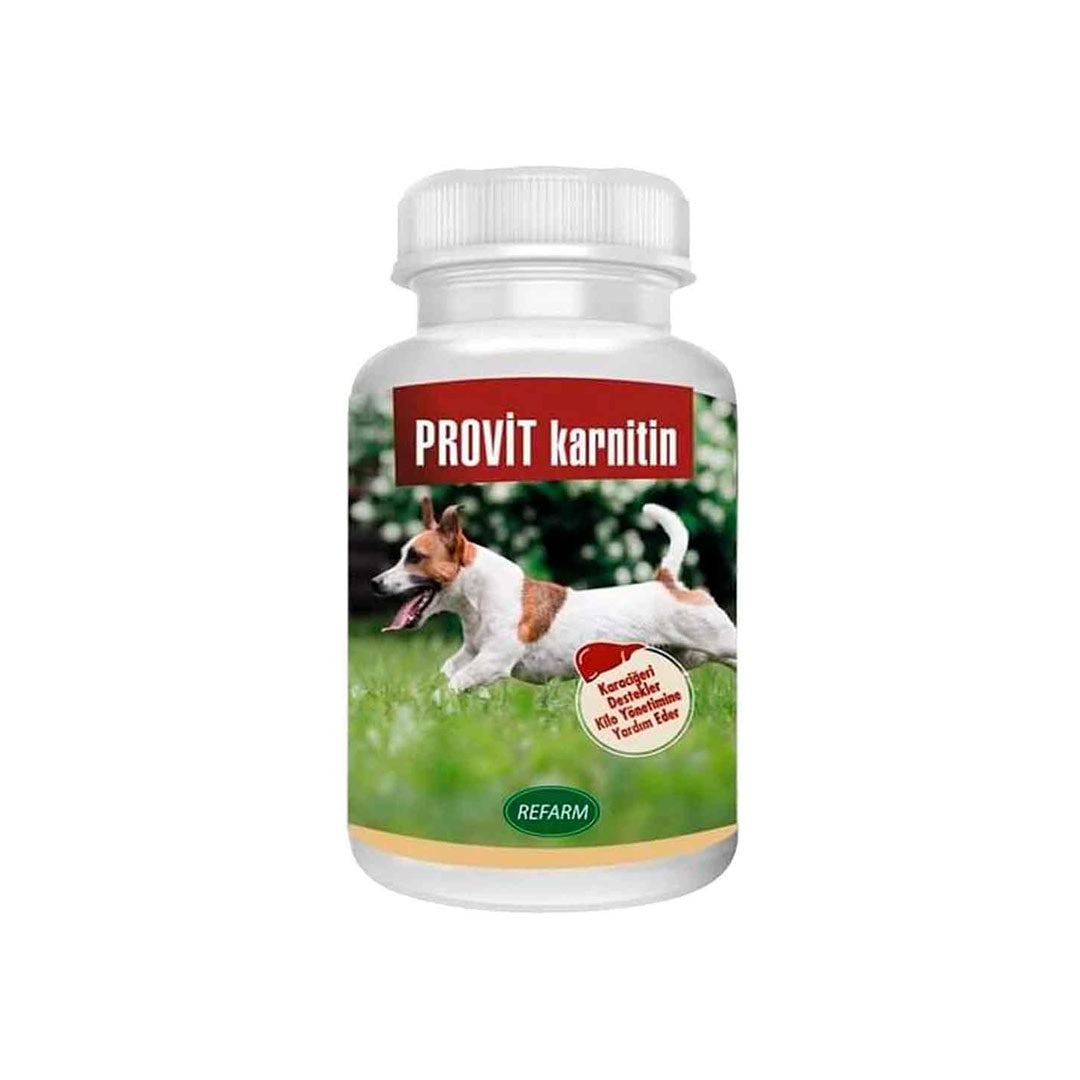 Profarm Provit L-Carnitine Liver Support Dog Vitamin Powder 100g