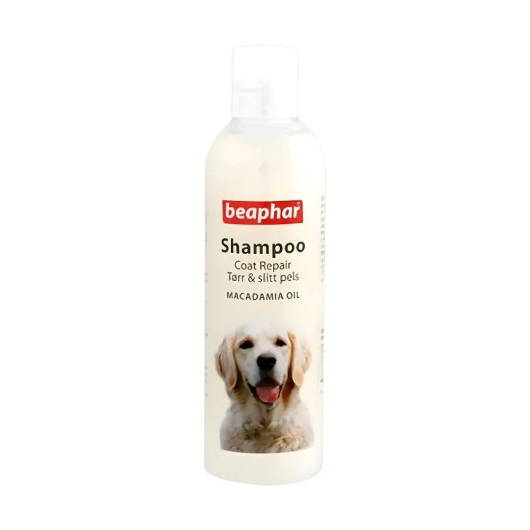 Beaphar Macadamia Yağlı Köpek Şampuanı Tüy Sağlığı İçin 250 ml