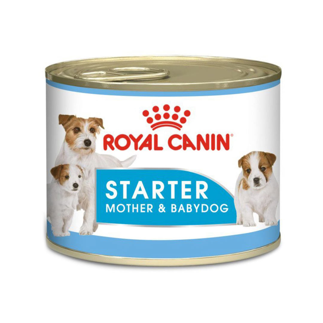 Royal Canin Starter Mousse Canned Dog Food for Mothers and Puppies 195 gr