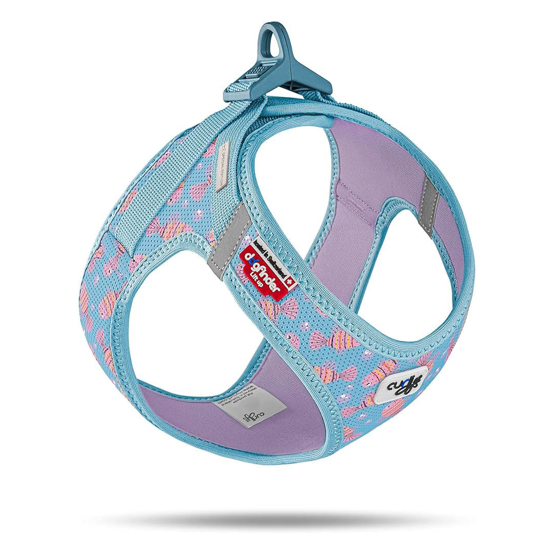 Curli Clasp Air-Mesh Aqua Balik Köpek Göğüs Tasması L