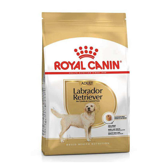 Royal Canin Labrador Retriever Irk Yetişkin Köpek Maması 12 Kg