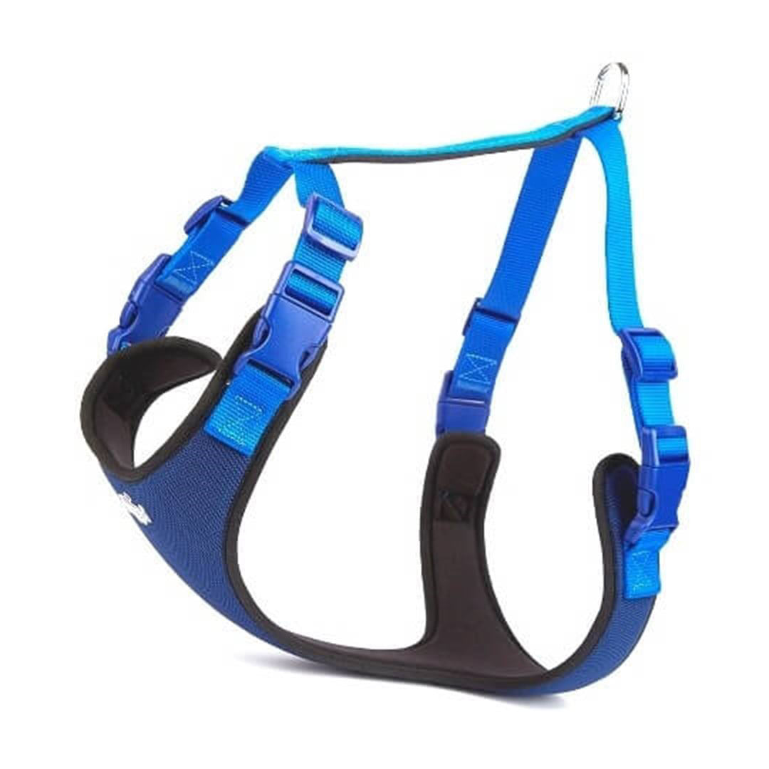 Doggie Dokuma Havalı Siyah ve Mavi Köpek Göğüs Tasması XL 2,5×65-75Cm