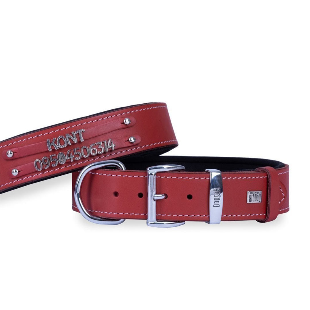 Doggie Konfor Deri Çift İsimlikli Kırmızı Köpek Boyun Tasması Large 3.5×52-60 Cm
